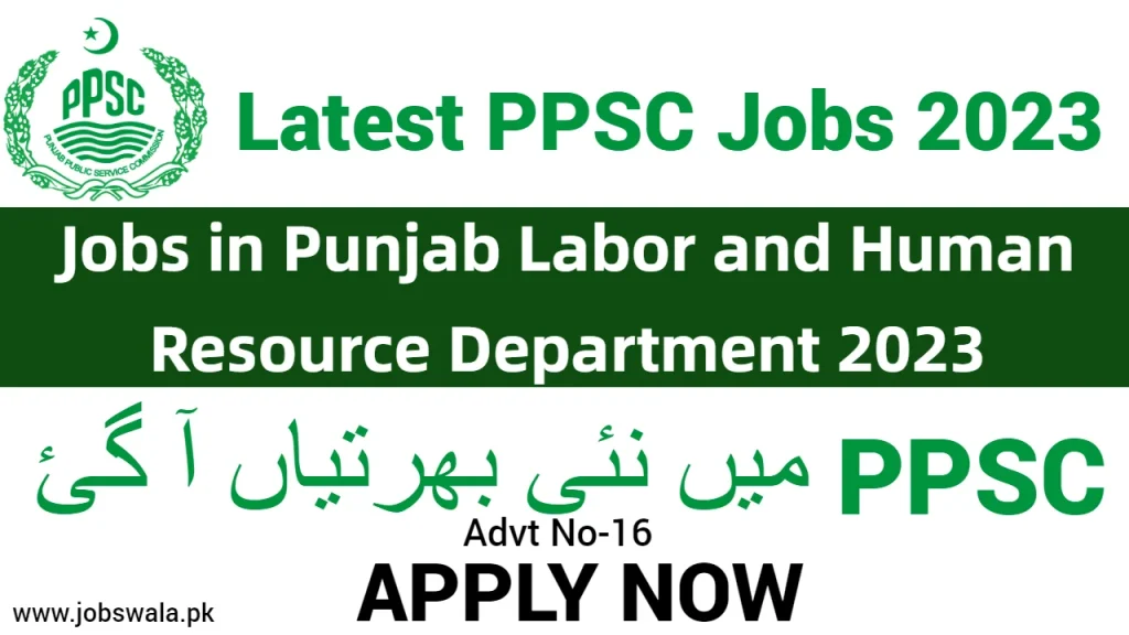 Jobs in Punjab Labor and Human Resource Department 2023