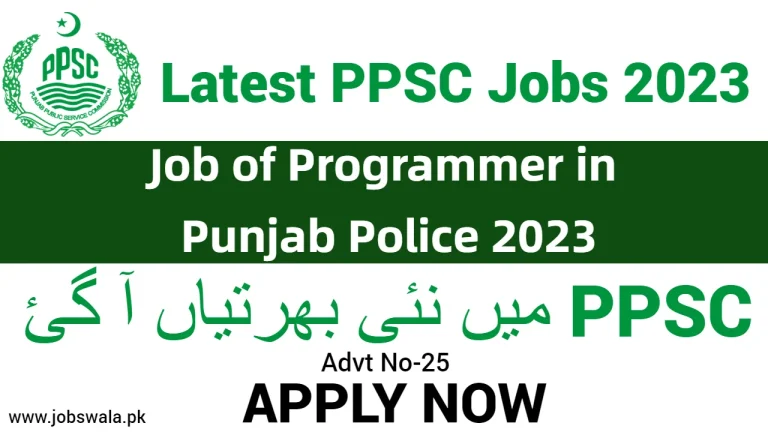 Job of Programmer in Punjab Police 2023